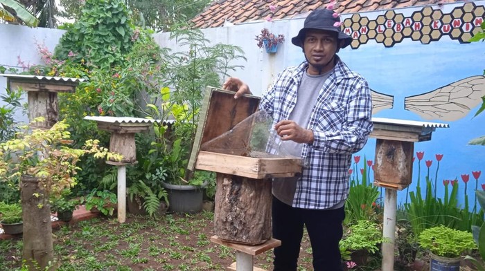 Amar, petani lebah madu.
