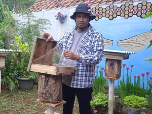 Pandemi COVID-19 Menuntun Langkah Amar Menjadi Peternak Lebah Trigona