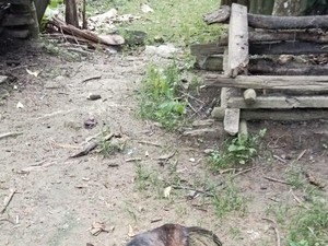 Timor Tengah Selatan KLB Rabies, Stok VAR Kosong