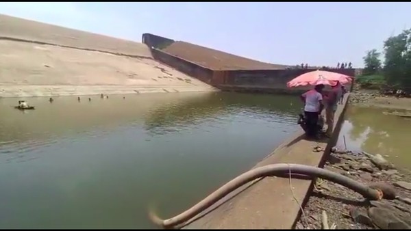 Dik va mushukning fotosuratlari bor. Dik va mushukning fotosuratlari bor.