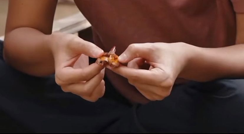 Chef Juna dan Chef Renatta Ketagihan Makan Belalang Goreng di Yogyakarta