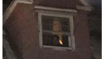 Ada yang mengintip dari jendela. Foto: Reddit