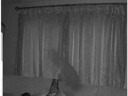 Foto Penampakan yang Bikin Merinding