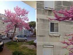 Foto Penampakan yang Bikin Merinding