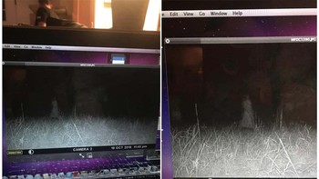 Sosok penampakan wanita di halaman belakang. mberFoto: Reddit