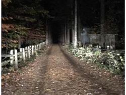 Foto Penampakan yang Bikin Merinding