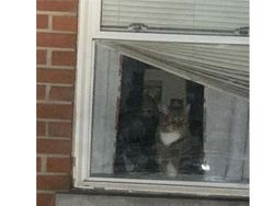 Foto Penampakan yang Bikin Merinding