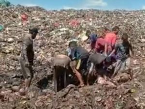 Warga Rebutan Daging di Tempat Sampah, Pemkab Bengkalis: Tak Layak Konsumsi