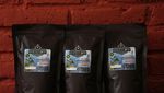 Memanen Arabika Temanggung, Kopi Mewah Kelas Dunia