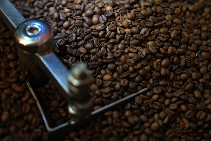 Arabica coffee plantation in Temanggung regency, Central Java, Indonesia, on Friday, May 26, 2023. The International Coffee Organization expects world coffee consumption to outstrip supply by 7.3m bags this season, widening from a 7.1m bag deficit last season, according to the agencys most recent report. Photographer: Dimas Ardian/Bloomberg via Getty Images