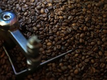 Ternyata Kopi Arabika Sudah Ada Sejak 600.000 Tahun yang Lalu, Ini Bukti Studinya