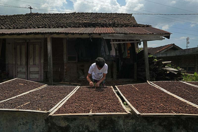 Arabica coffee plantation in Temanggung regency, Central Java, Indonesia, on Friday, May 26, 2023. The International Coffee Organization expects world coffee consumption to outstrip supply by 7.3m bags this season, widening from a 7.1m bag deficit last season, according to the agency's most recent report. Photographer: Dimas Ardian/Bloomberg via Getty Images