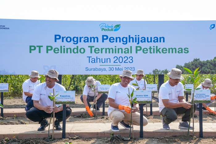 Program Penghijauan Pelindo
