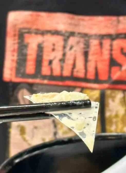 Pembeli Kecewa Ada Plastik Dalam Sushinya, Restoran Ini Minta Maaf