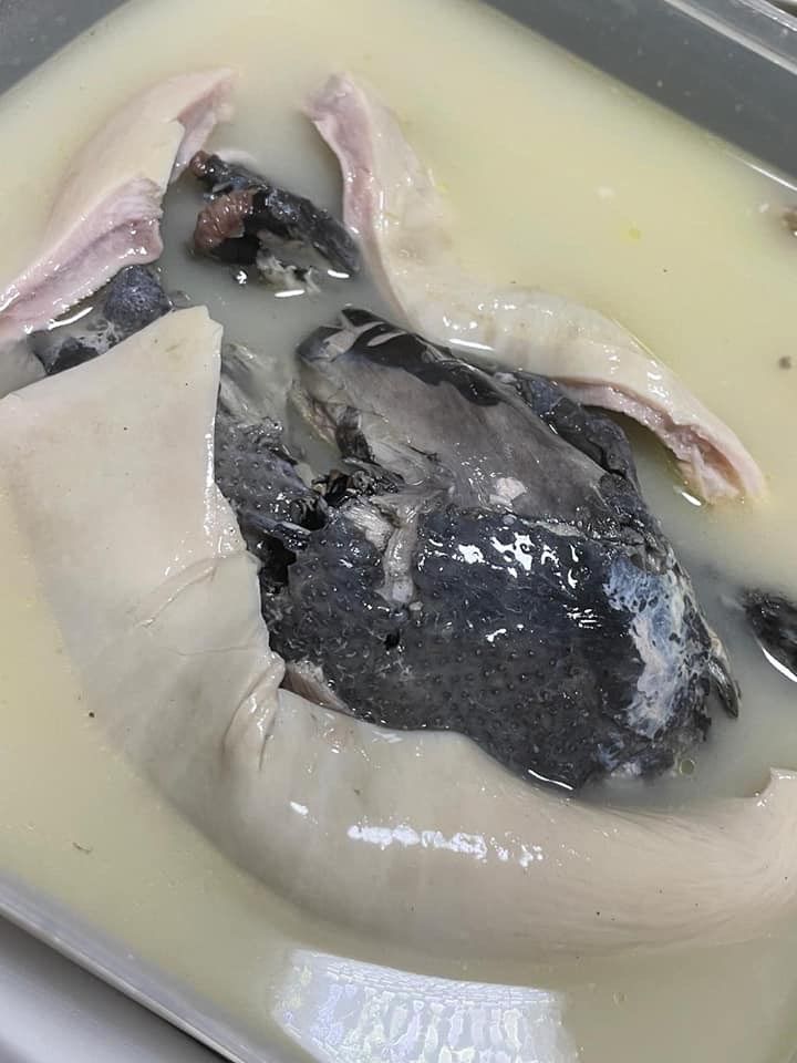 Unik! Resto Ini Tawarkan Sup Perut Babi Isi Ayam Hitam