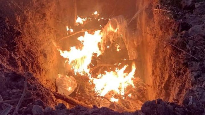 Personal protective equipment (PPE) is burned alongside the carcasses of black-necked swans that were found dead in Taim Ecological Reserve, after their samples have been collected to be sent to a laboratory in Sao Paulo to determine whether they died of bird flu, in Rio Grande, Rio Grande do Sul state, Brazil May 25, 2023.  ESEC Taim/Handout via REUTERS   ATTENTION EDITORS - THIS IMAGE HAS BEEN SUPPLIED BY A THIRD PARTY. NO RESALES. NO ARCHIVES