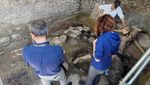 Potret 3 Kerangka Korban Gempa & Letusan Vesuvius Baru Ditemukan di Pompeii
