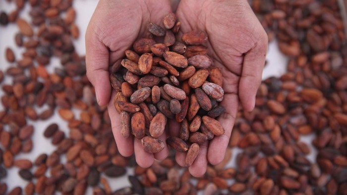 Investasi Untuk Pertanian Berkelanjutan Direktur Badan Pembangunan Internasional Amerika Serikat (USAID) Indonesia, Jeff Cohen (kiri), didampingi President and Regional Head, Asia Pacific Olam Food Ingredients, Ravi Pokhriyal (kanan), menjelaskan produk petani binaan kepada Direktur Kehutanan dan Konservasi Sumber Daya Air Kementerian Bappenas Nur Hygiawati Rahayu di sela-sela peluncuran LASCARCOCO di Tangerang, Banten, Rabu (31/5/2023).