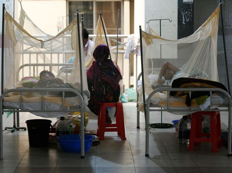 Kasus Demam Berdarah di Bangladesh Makin Memprihatinkan