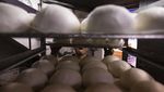 Kembalinya Festival Bakpao di Hong Kong, Meriah Banget