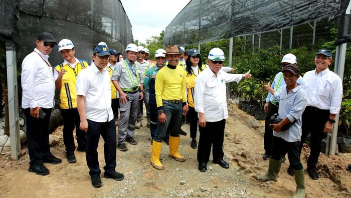 Kementerian PUPR menyiapkan 52.000 pohon untuk ditanami di koridor jalan tol IKN