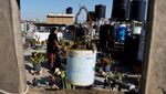 Kreatif! Pasangan di Gaza Ubah Wadah Sampah untuk Bercocok Tanam