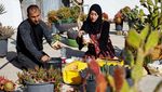 Kreatif! Pasangan di Gaza Ubah Wadah Sampah untuk Bercocok Tanam