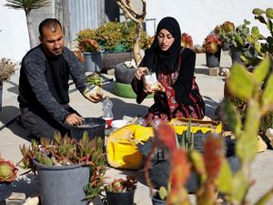 Kreatif! Pasangan di Gaza Ubah Wadah Sampah untuk Bercocok Tanam