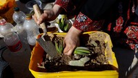 Dengan tujuan melindungi lingkungan, Bidwan menggunakan pot tanah liat, kaleng bahkan ban untuk menanam berbagai tanaman dan kaktus.  