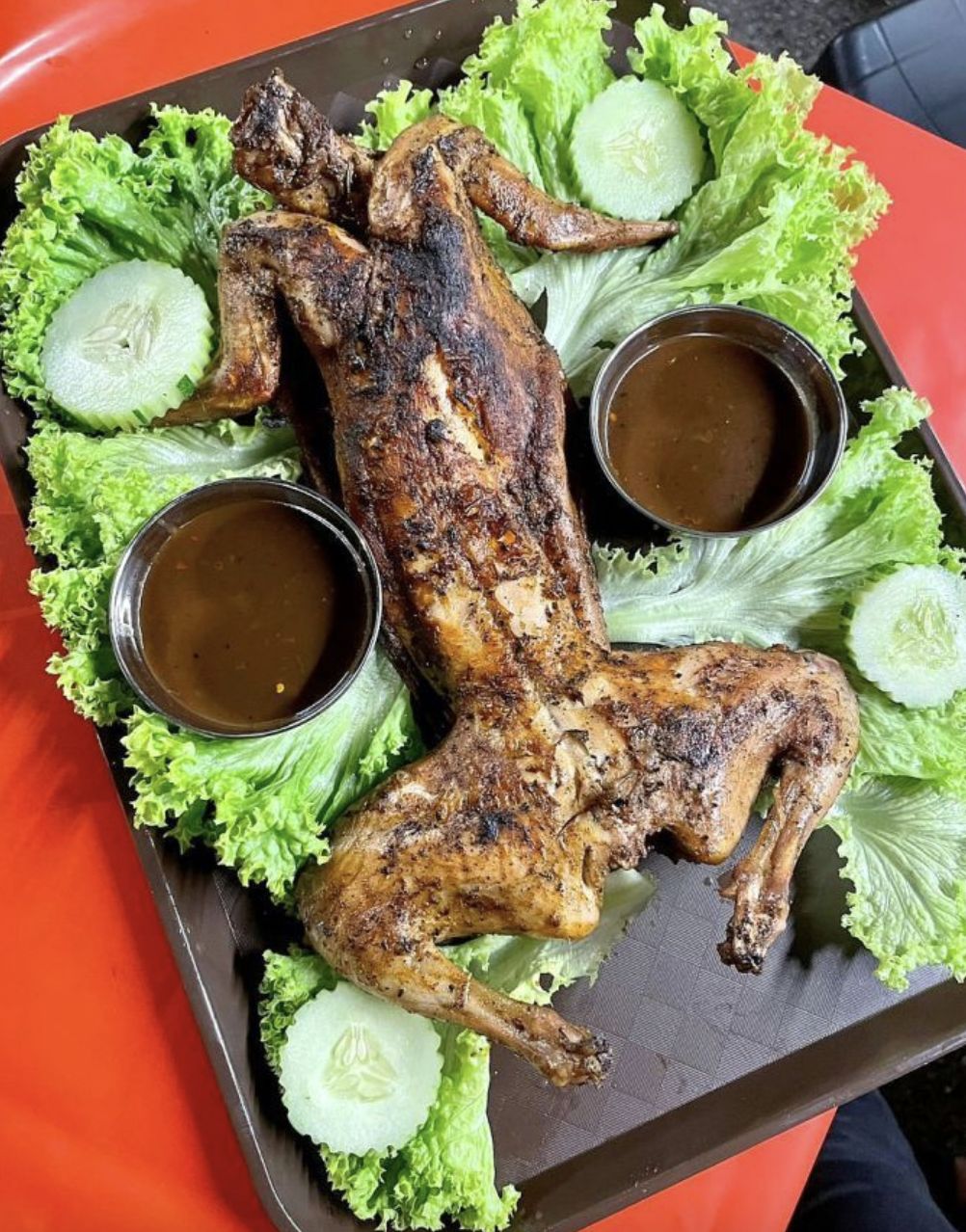 Mahasiswi Cantik Jualan Kelinci Bakar, Sengaja Tawarkan Menu Eksotis