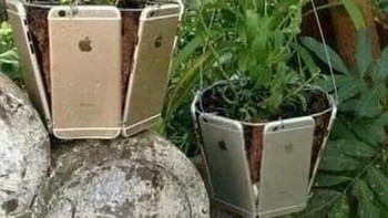 Pot bunga pakai iPhone, bebas. Foto: 1Cak