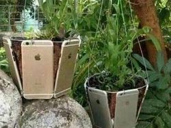 Meme Sultan Mah Bebas, Jelata Cant Relate