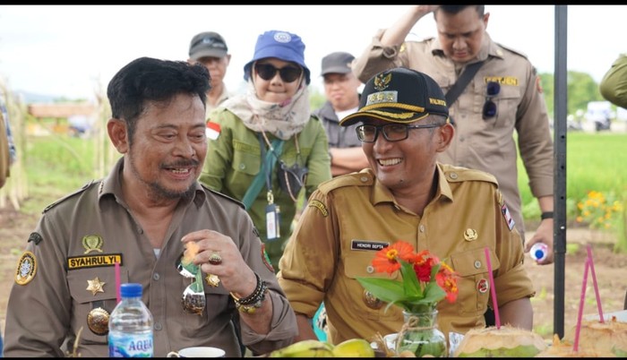 Pemkot Padang