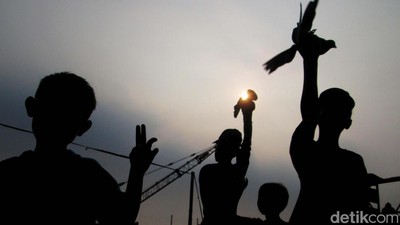 Pesisir Jakarta Butuh Ruang Terbuka Hijau Untuk Anak