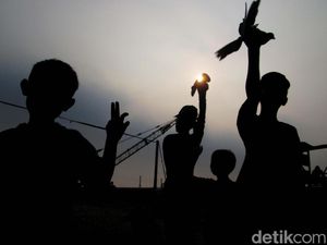 Pesisir Jakarta Butuh Ruang Terbuka Hijau Untuk Anak