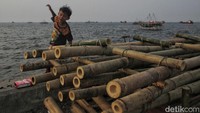 Namun sebagai besar anak masih bermain di lokasi tanggal laut.  