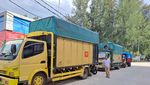 Potret Daging Kerbau Impor Ilegal Disita dari Kapal hingga Ditimbun di TPA