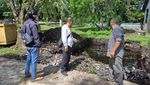 Potret Daging Kerbau Impor Ilegal Disita dari Kapal hingga Ditimbun di TPA