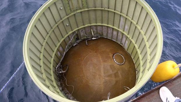 A handout picture shows a part of what is believed to be a space launch vehicle that North Korea said crashed into the sea off the west coast of the divided peninsula, South Korea, May 31, 2023. The Defense Ministry/Handout via REUTERS