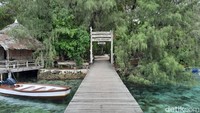 Pulau Macan merupakan salah satu destinasi unggulan Kepulauan Seribu. Pulau ini terletak di wilayah Kelurahan Pulau Kelapa, Kecamatan Kepulauan Seribu Utara. (Putu Intan/detikcom)
