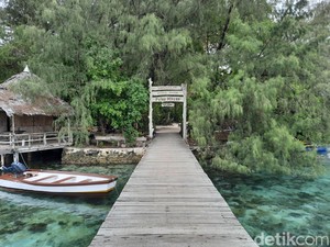 Ironi Pulau Macan, Lebih Dikenal Turis Asing daripada Domestik