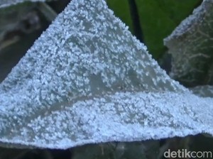Mengenal Fenomena Frozen yang Bikin Lautan Pasir Bromo Bagai Hamparan Salju