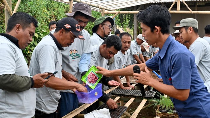 Ewindo terus mewujudkan Sekolah Lapang dibeberapa kota lengkap dengan Learning Farmnya untuk pembelajaran budidaya pertanian hortikultura.