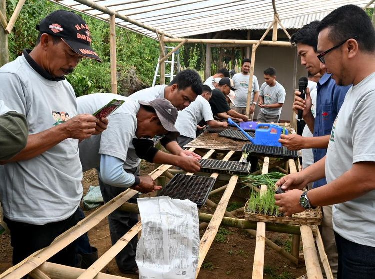 Sekolah Lapang atau Learning Farm untuk Para Petani