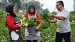 Sekolah Lapang atau Learning Farm untuk Para Petani