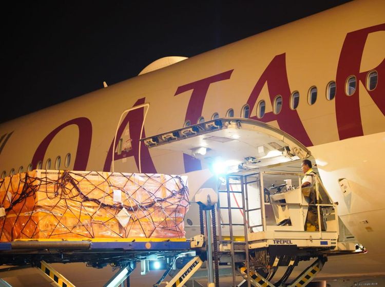 Vaksin Tetanus-Hepatitis B dari RI Sudah Mendarat di Nigeria