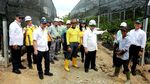 Wujud Nyata 52 Ribu Bibit Pohon Hayat buat Bikin Adem Tol di IKN