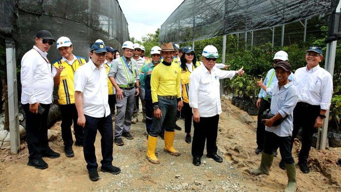 Wujud Nyata 52 Ribu Bibit Pohon Hayat buat Bikin Adem Tol di IKN Dalam kunjungan kerjanya ke Provinsi Kalimantan Timur, Rabu (31/05), Menteri PUPR Basuki Hadimuljono melakukan peninjauan progres pembangunan jalan tol IKN segmen 3B KKT Kariangau - Sp. Tempadung serta area nursery yang berada di Balikpapan. Pada pembangunan jalan tol IKN segmen 3B tersebut, dibangun pula 12 tenda nursery seluas 2,3 ha dengan total saat ini sekitar 52.000 pohon dan akan terus bertambah hingga ratusan ribu pohon yang akan ditanam di koridir jalan tol.