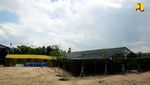 Wujud Nyata 52 Ribu Bibit Pohon Hayat buat Bikin Adem Tol di IKN