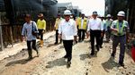 Wujud Nyata 52 Ribu Bibit Pohon Hayat buat Bikin Adem Tol di IKN